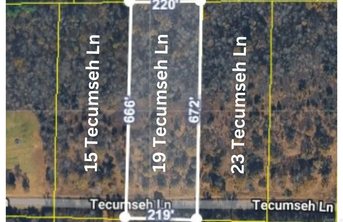 19 Tecumseh Ln, Conway, AR 72032 - Image #1