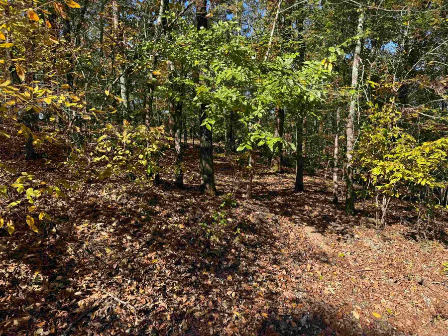 18 Darro Way, Hot Springs Village, AR 71909 - #2