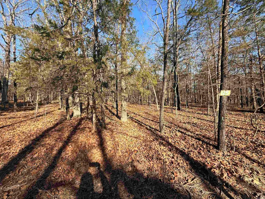 Lot 125 Tannenbaum Rd., Drasco, AR 72530 - Image #2