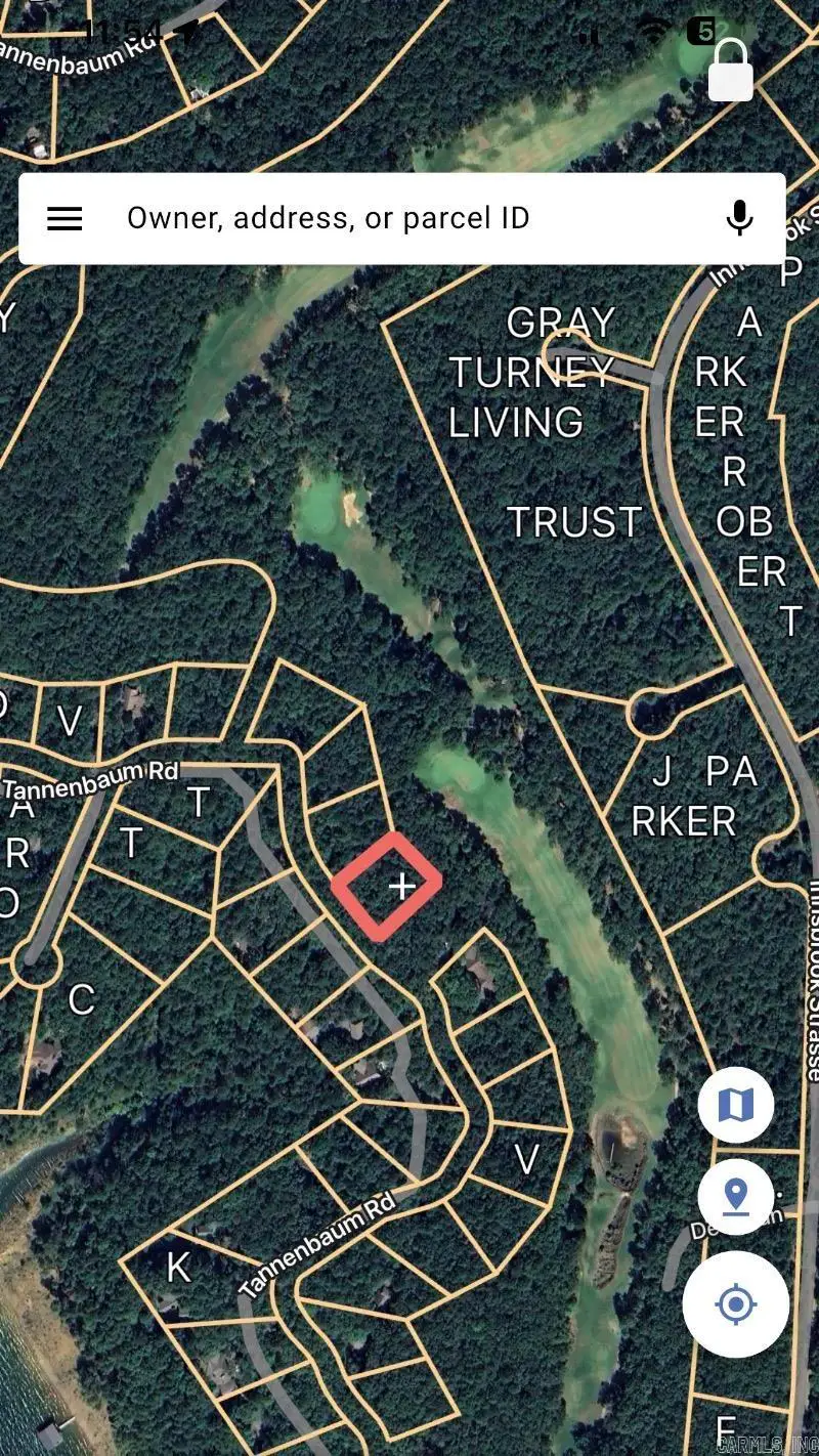 Lot 125 Tannenbaum Rd., Drasco, AR 72530 - Image #3