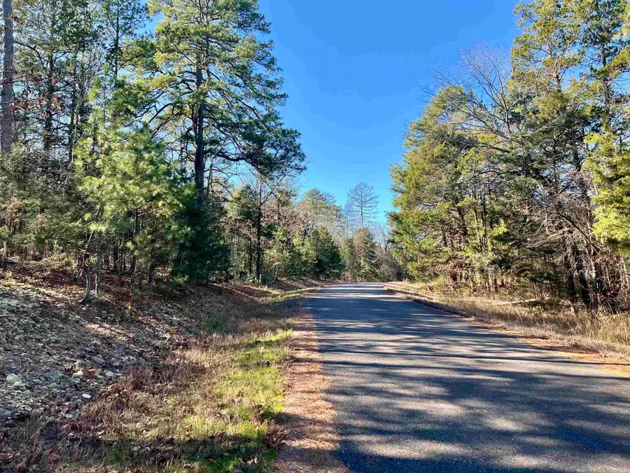 14 Perfecto Court, Hot Springs Village, AR 71909 - Image #2