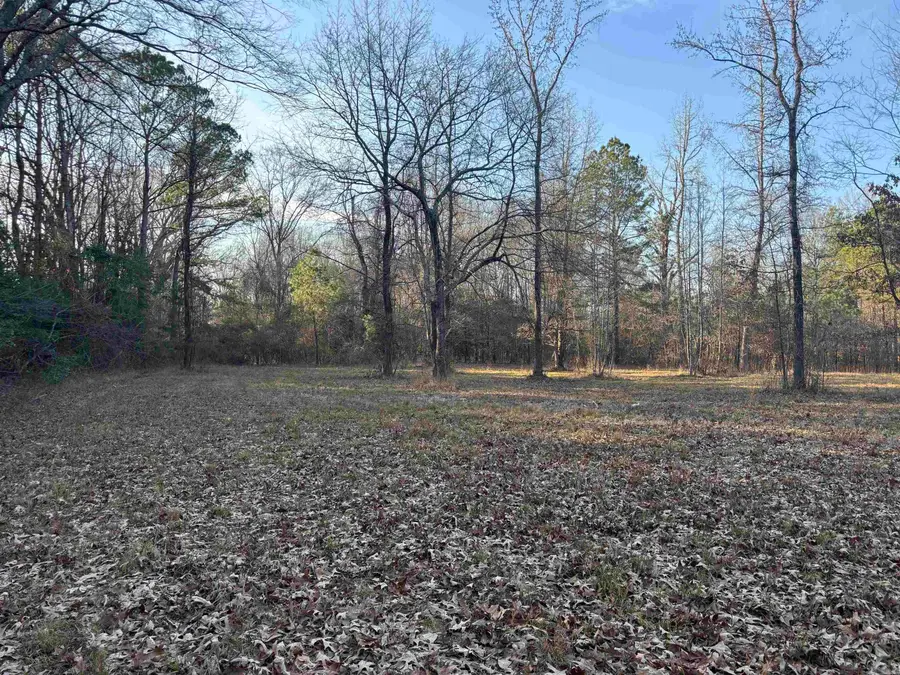 183 Grant 49, Sheridan, AR 72150 - Image #2