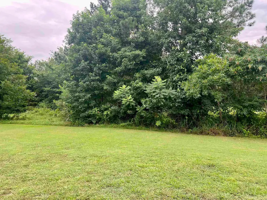 138 Mountain Side Drive, Pangburn, AR 72121 - Image #3