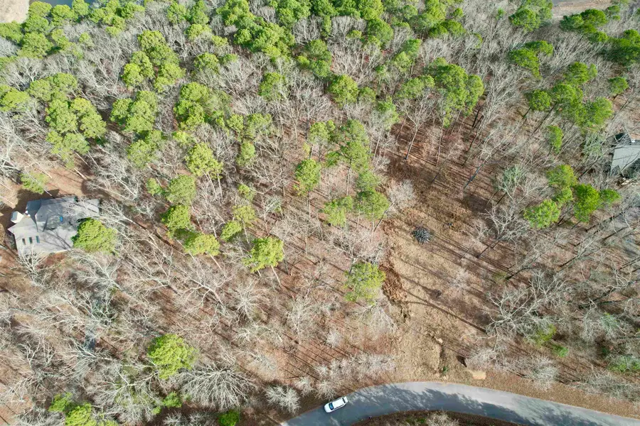 Silver Shores Lane, Drasco, AR 72530 - Image #2