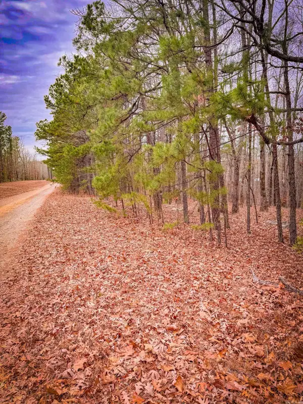 00 Heather Ridge Road, Bigelow, AR 72016