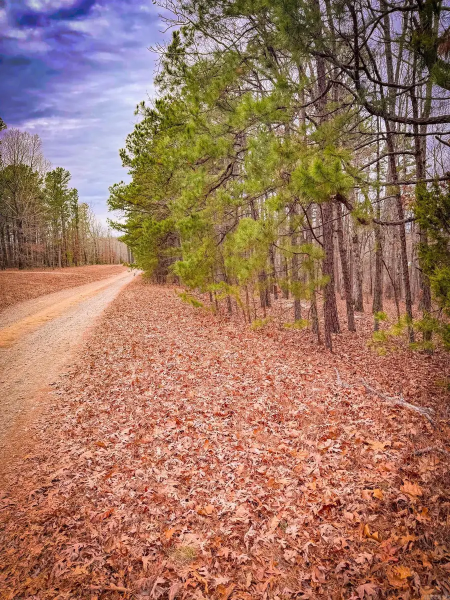 00 Heather Ridge Road, Bigelow, AR 72016 - Image #3
