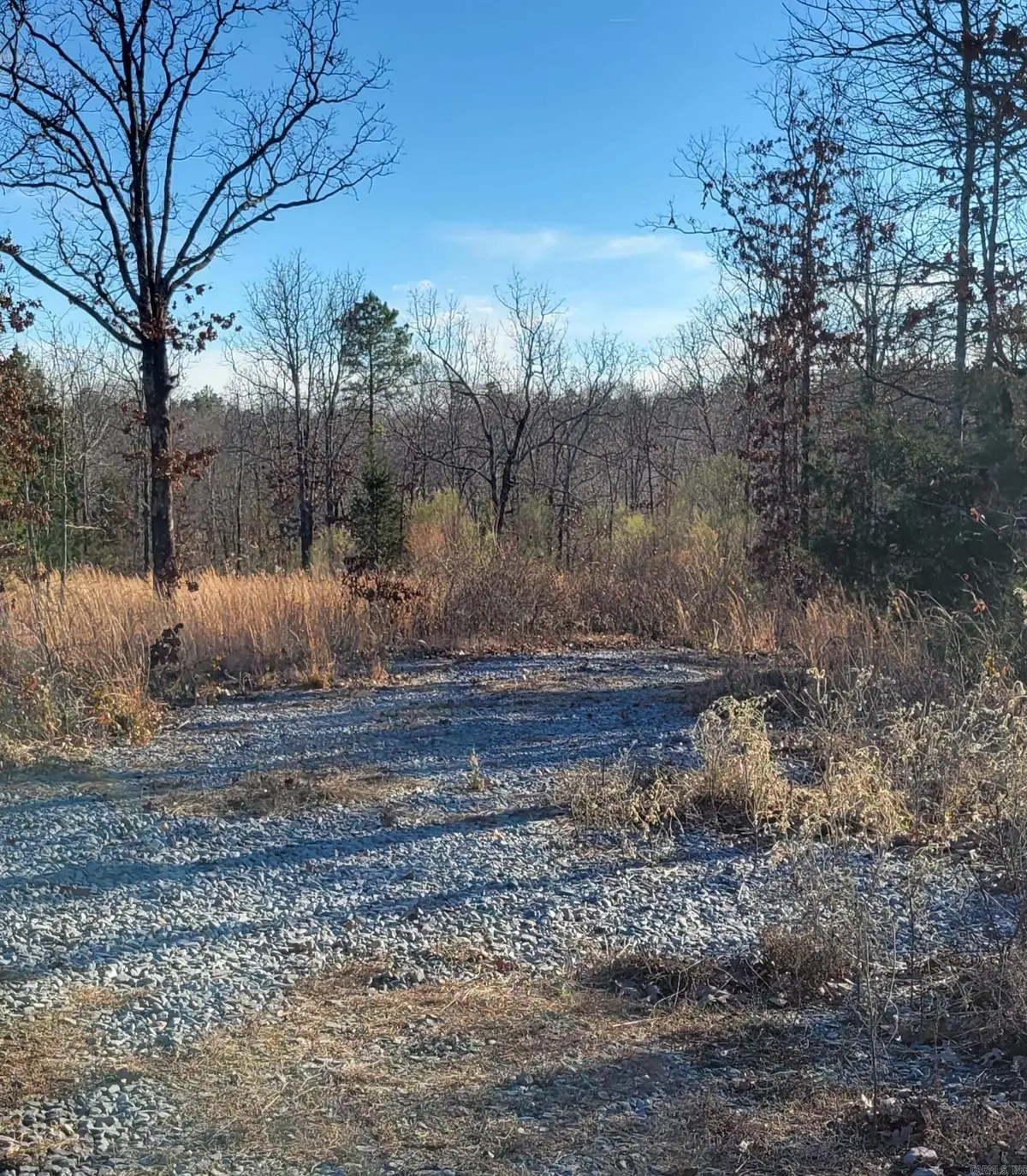 19 Manna Lane, Conway, AR 72032 - Image #1