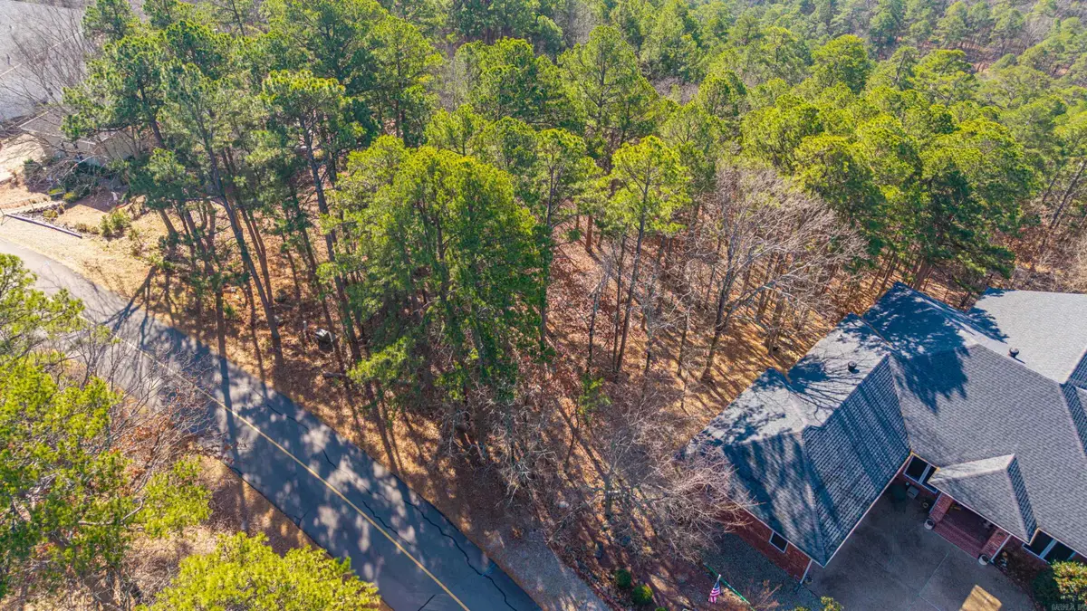 123 Mesero Way, Hot Springs Village, AR 71909 - Image #1