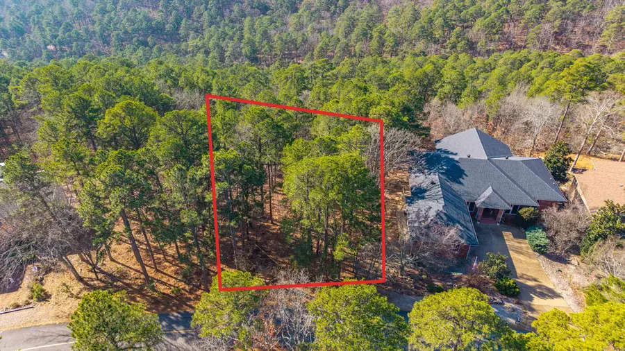 123 Mesero Way, Hot Springs Village, AR 71909 - Image #2