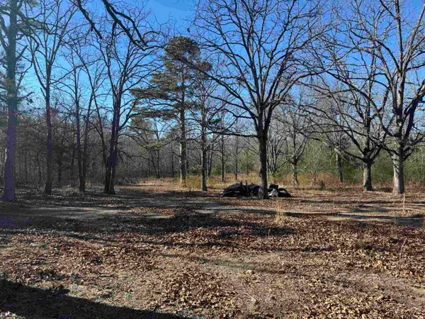 2859 Hwy 71 N, Mena, AR 71953