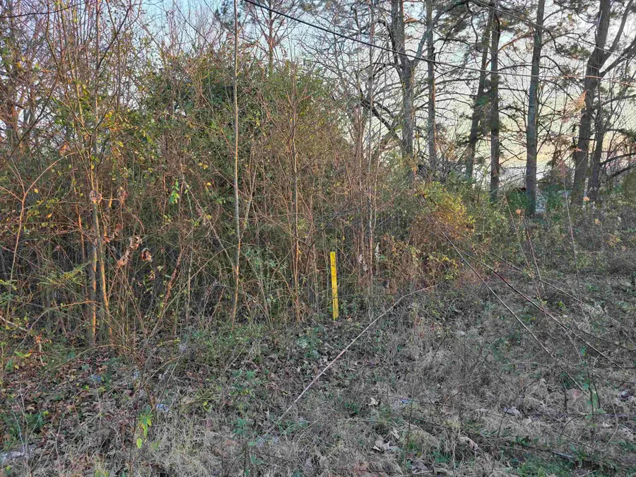 00 King Drive, Cabot, AR 72023 - Image #2