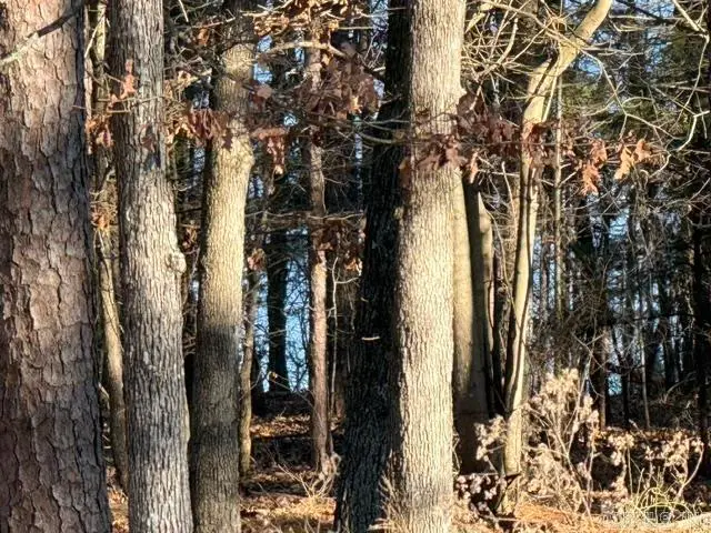 525 E Shore Drive, Drasco, AR 72530 - Image #3