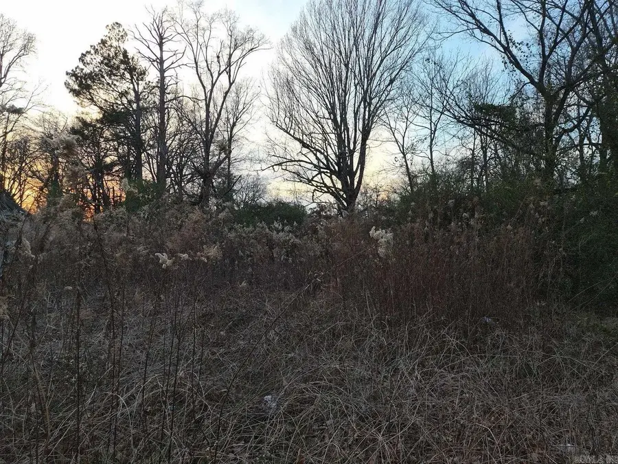 Address Withheld By Seller, Pine Bluff, AR 71603 - Image #2