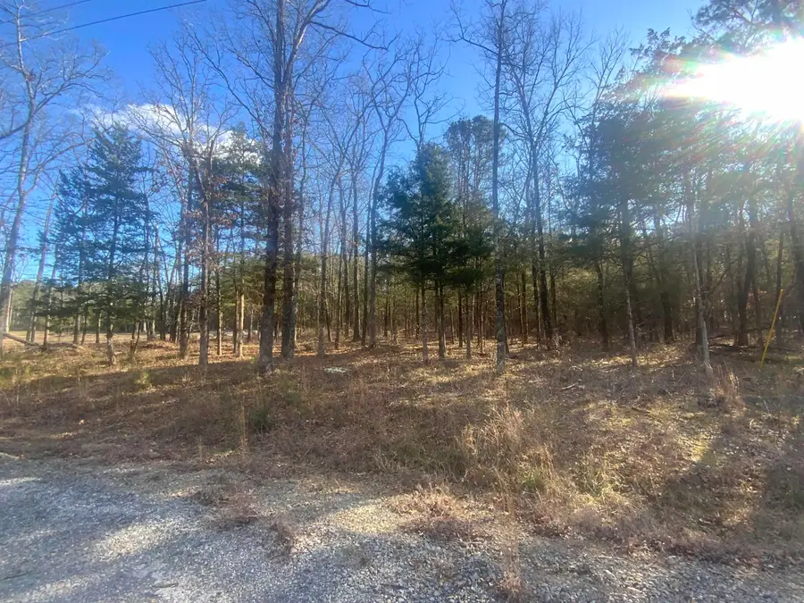 000 Fox Run Road, Greers Ferry, AR 72067 - Image #2