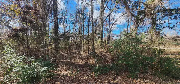 Lot 107 Southhaven Avenue, Cabot, AR 72023