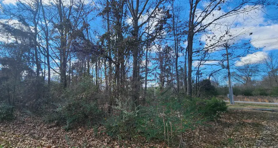Lot 107 Southhaven Avenue, Cabot, AR 72023 - Image #3