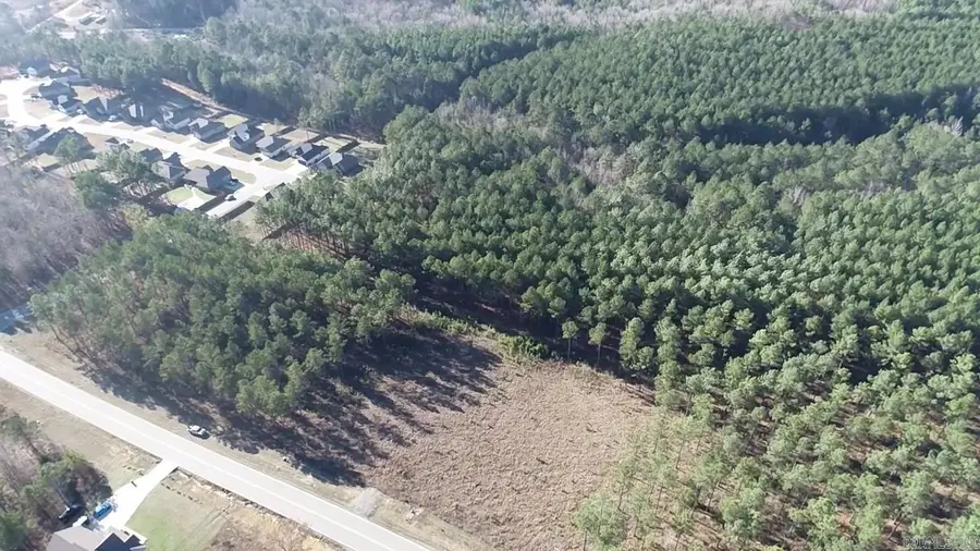 113 Parkway Trail Boulevard, Bauxite, AR 72011 - Image #2