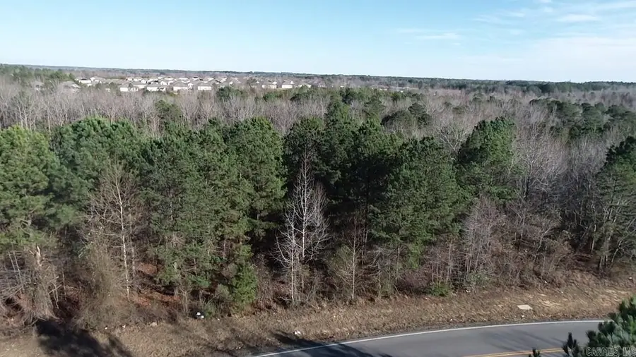 206 Parkway Trail Boulevard, Bauxite, AR 72011 - Image #3