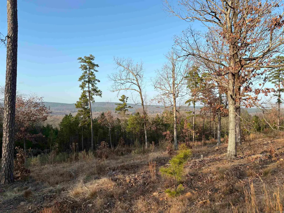 21216 Valley View Cove, Roland, AR 72135 - Image #1