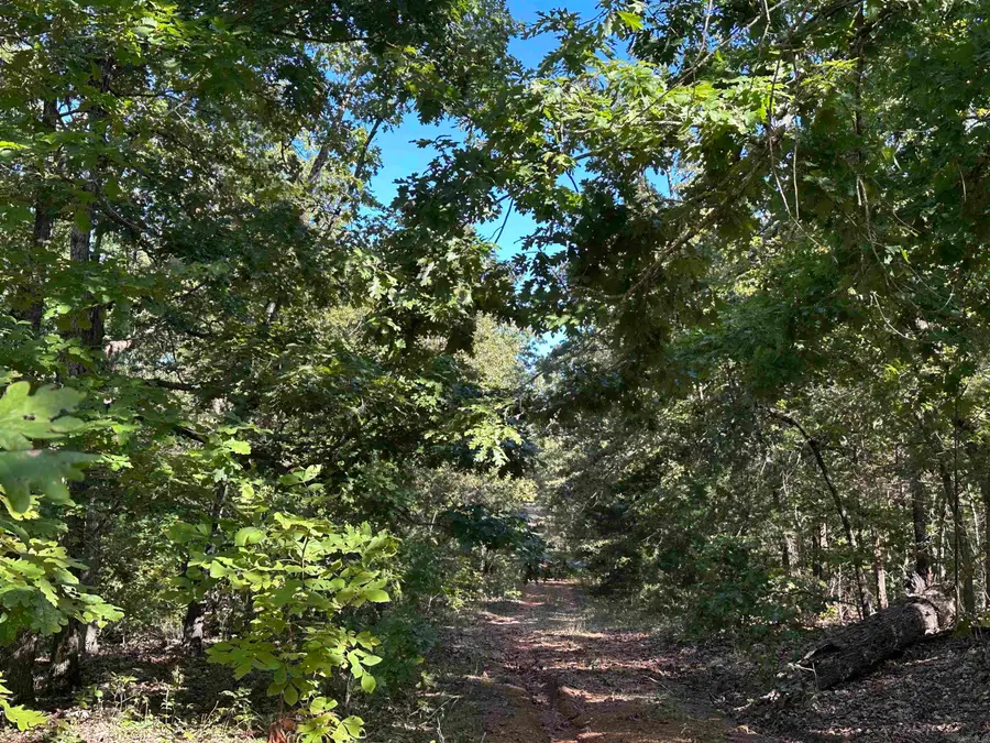 1609 Old Strawberry Lane, Horseshoe Bend, AR 72512 - #2