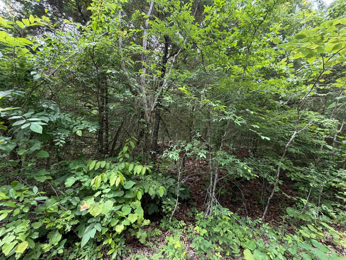 001 Clark Lane, Horseshoe Bend, AR 72512 - #1