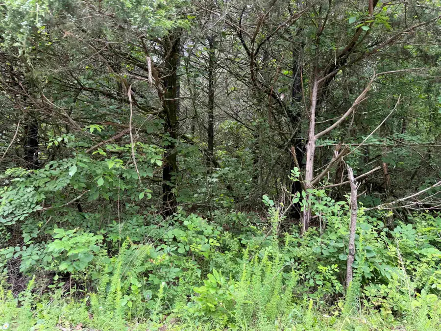 001 Clark Lane, Horseshoe Bend, AR 72512 - #3