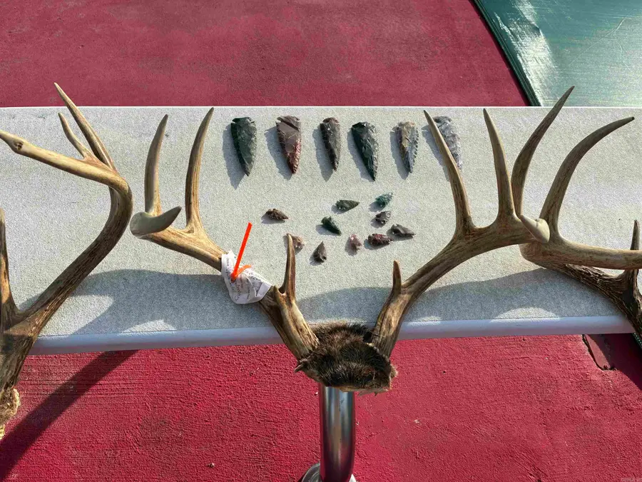 635 S Arkansas Highway 113, Bigelow, AR 72016 - Image #2