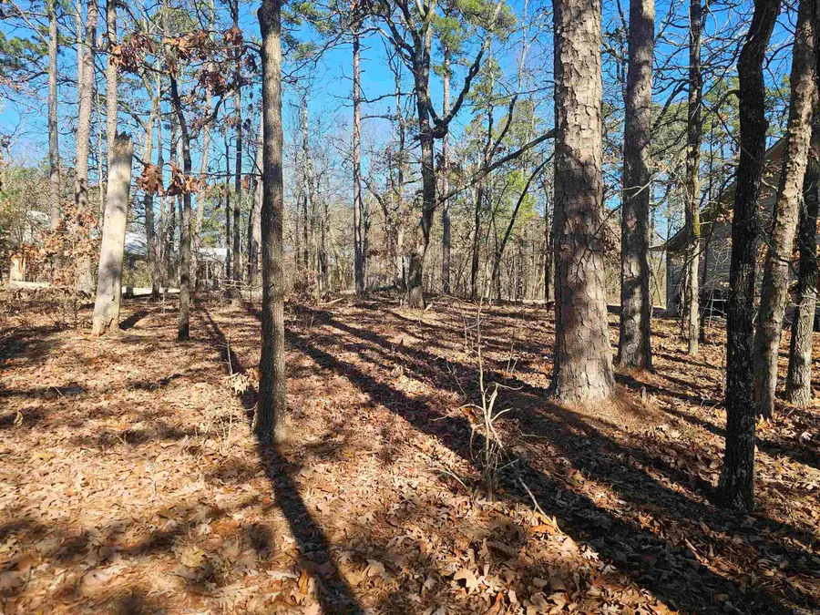 99 Mansilla Way Way, Hot Springs Village, AR 71909 - #2