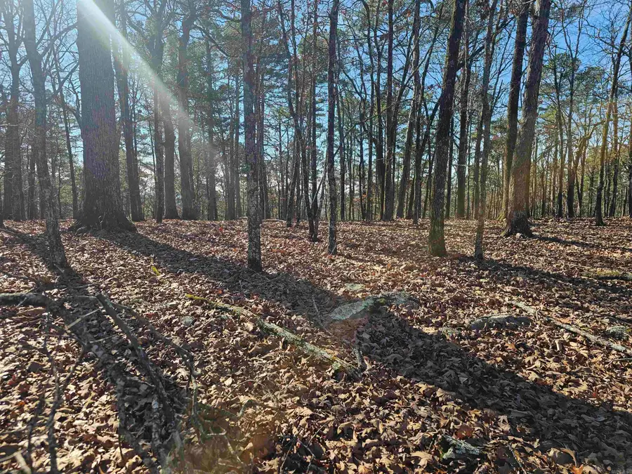 63 Medina Way, Hot Springs Village, AR 71909 - #3