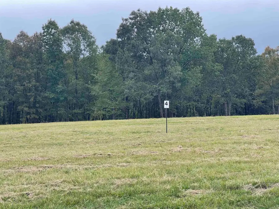 Lot 4 Hudson Pointe, Greers Ferry, AR 72067 - Image #2