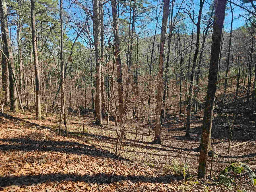 18 Mariposa Way, Hot Springs Village, AR 71909 - #2