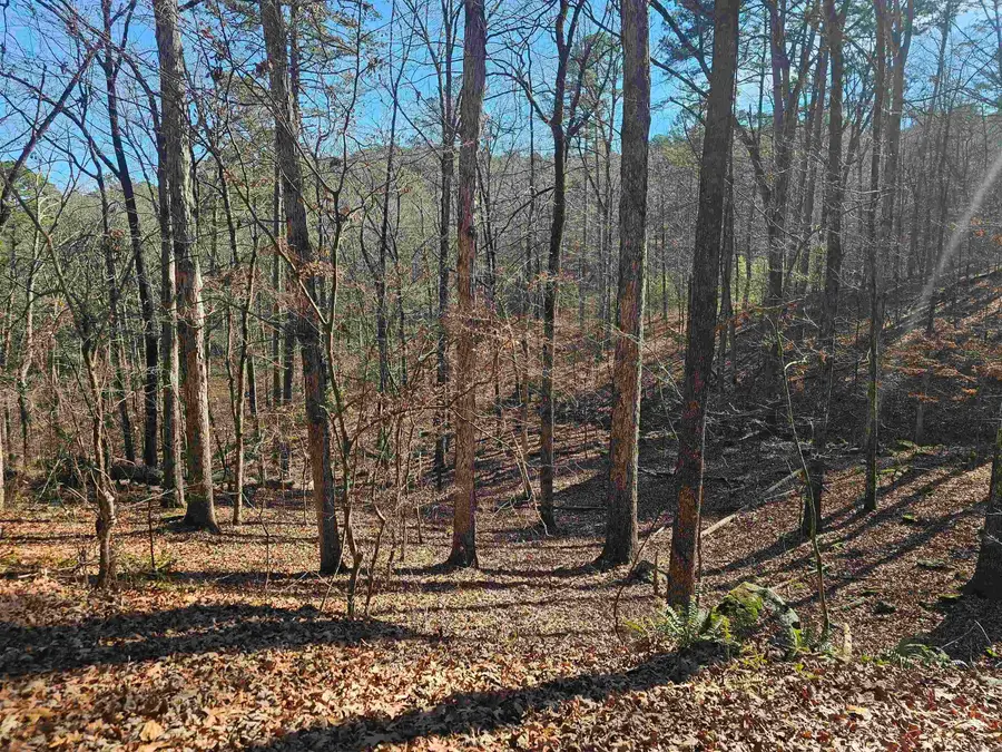 18 Mariposa Way, Hot Springs Village, AR 71909 - #3