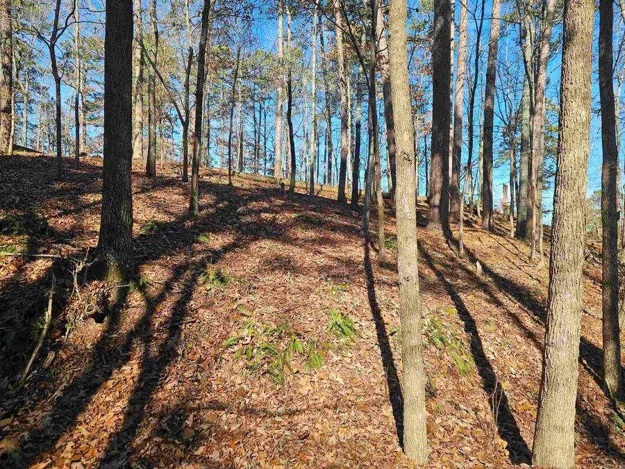 105 Doscientos Way, Hot Springs Village, AR 71909 - #2