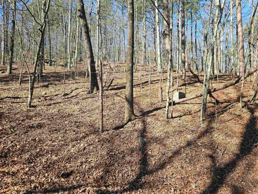 105 Doscientos Way, Hot Springs Village, AR 71909 - #3