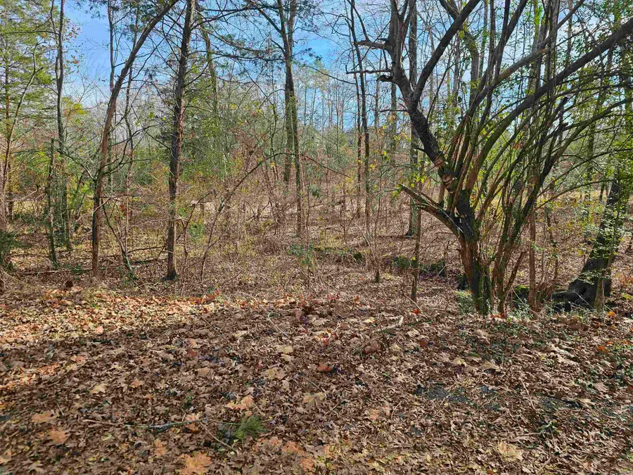 24 Isabella Way, Hot Springs Village, AR 71909 - #2