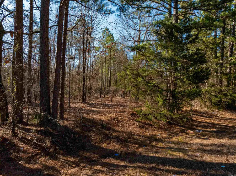0 Edgemont Rd, Shirley, AR 72153 - Image #2