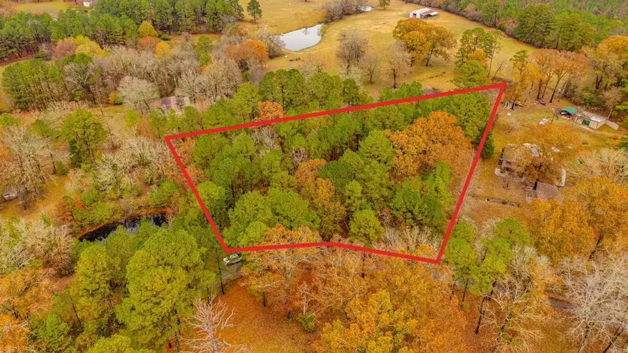 XXX Odell Road, Bismarck, AR 71929 - Image #3