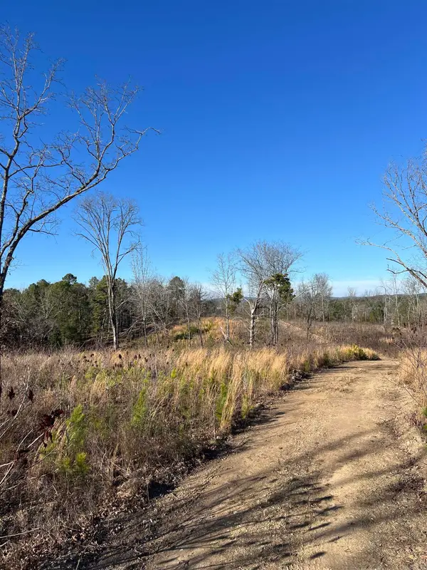 Address Withheld By Seller, Hot Springs, AR 71913