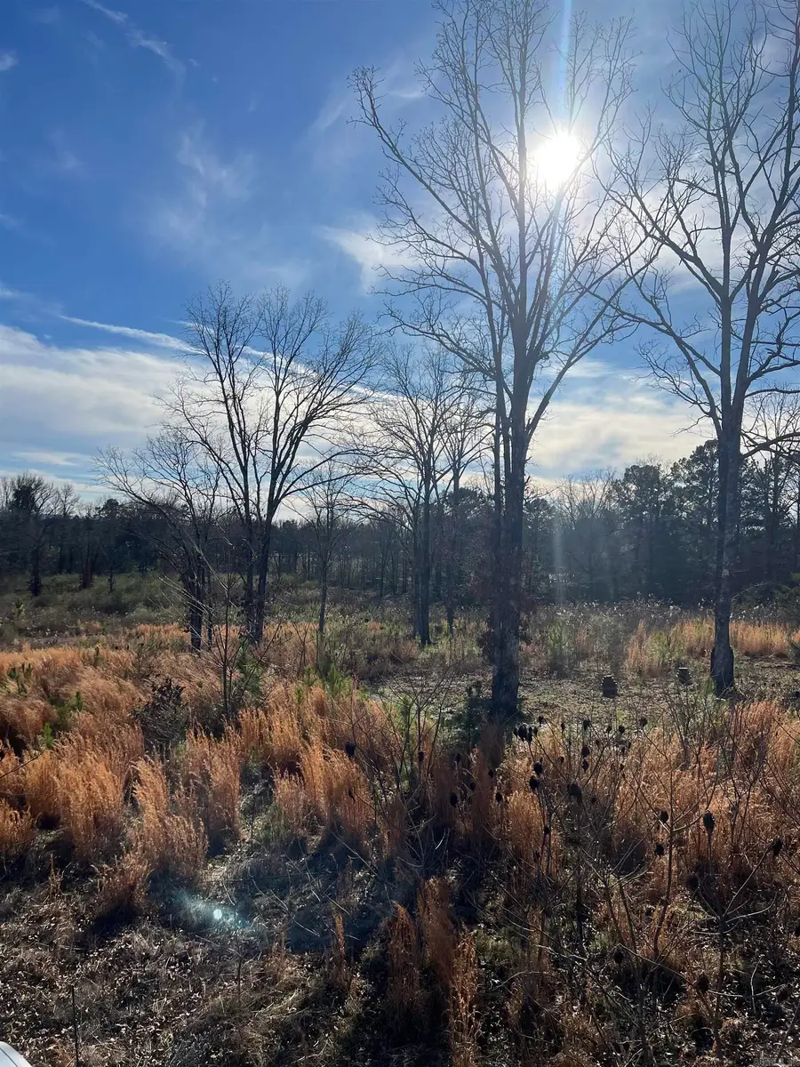 Address Withheld By Seller, Hot Springs, AR 71913 - Image #3