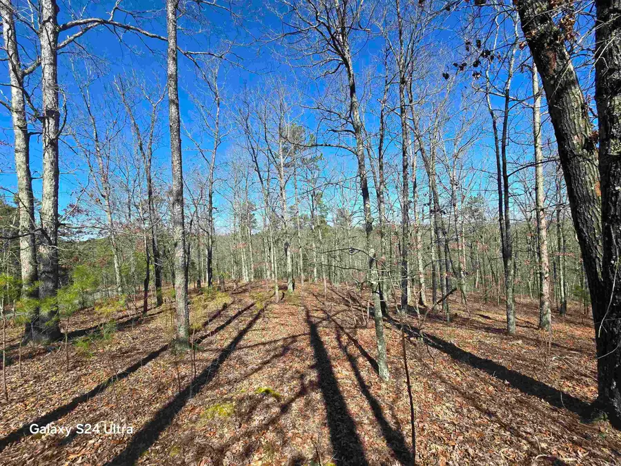 0 Woodlawn, Fairfield Bay, AR 72088 - Image #2