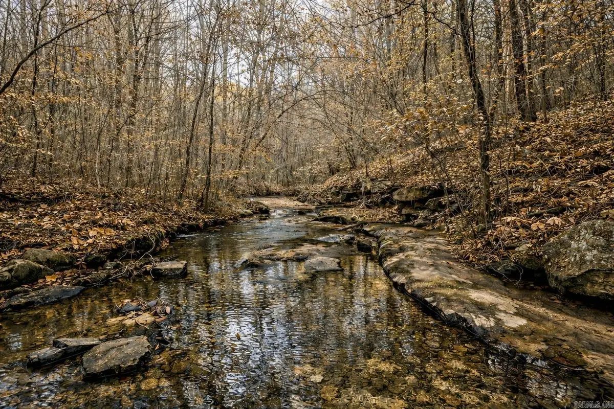 1656 Peyton Mountain Road, Dennard, AR 72629 - Image #1