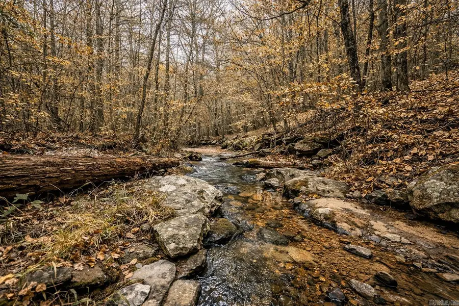 1656 Peyton Mountain Road, Dennard, AR 72629 - Image #2