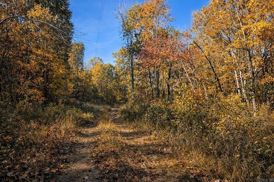 1656 Peyton Mountain Road, Dennard, AR 72629 - Image #3