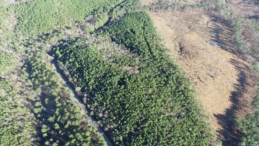 30386 Highway 300 Highway, Roland, AR 72135 - Image #3