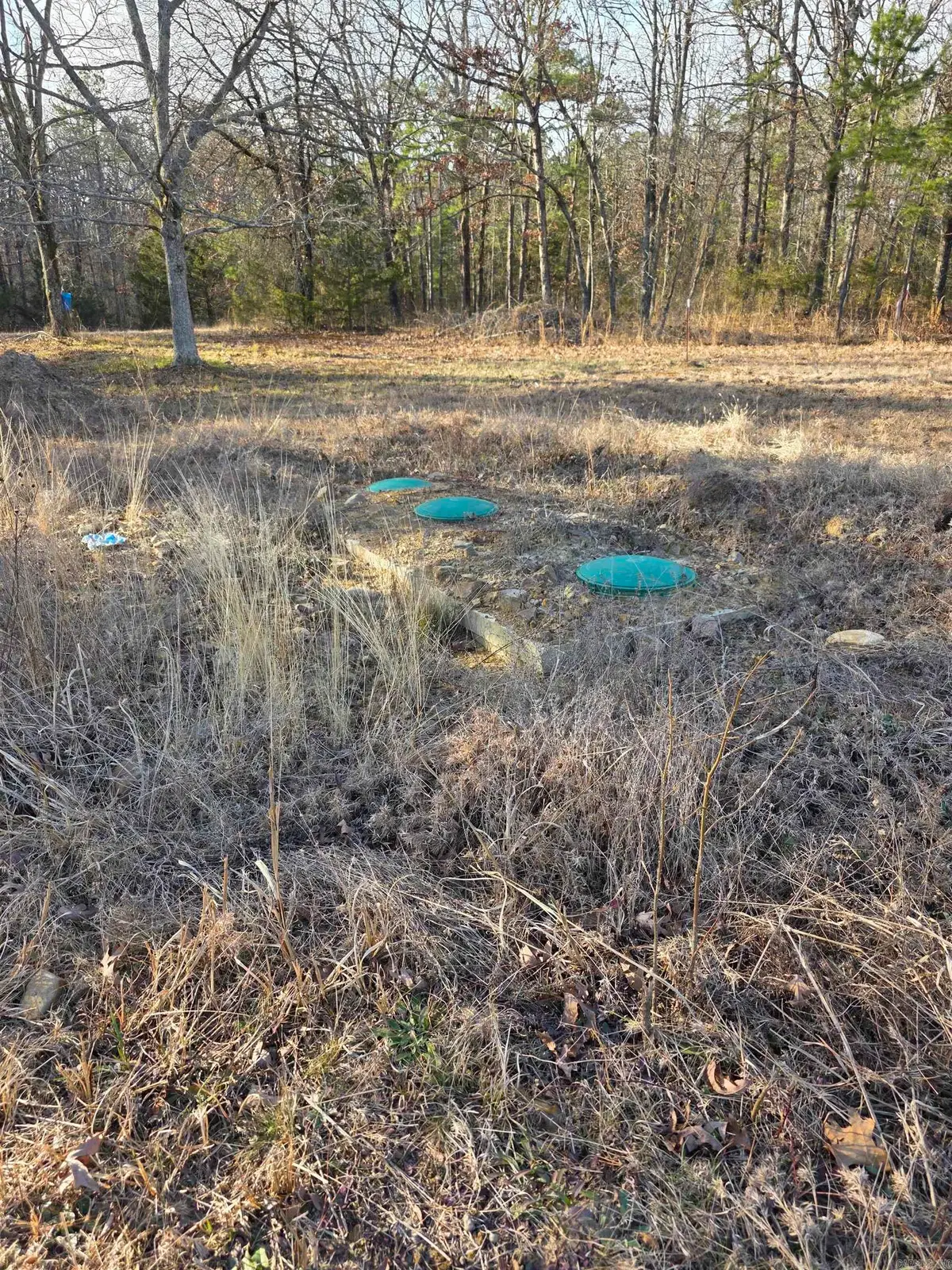 Unk Blissful Lane, Mena, AR 71953 - Image #1