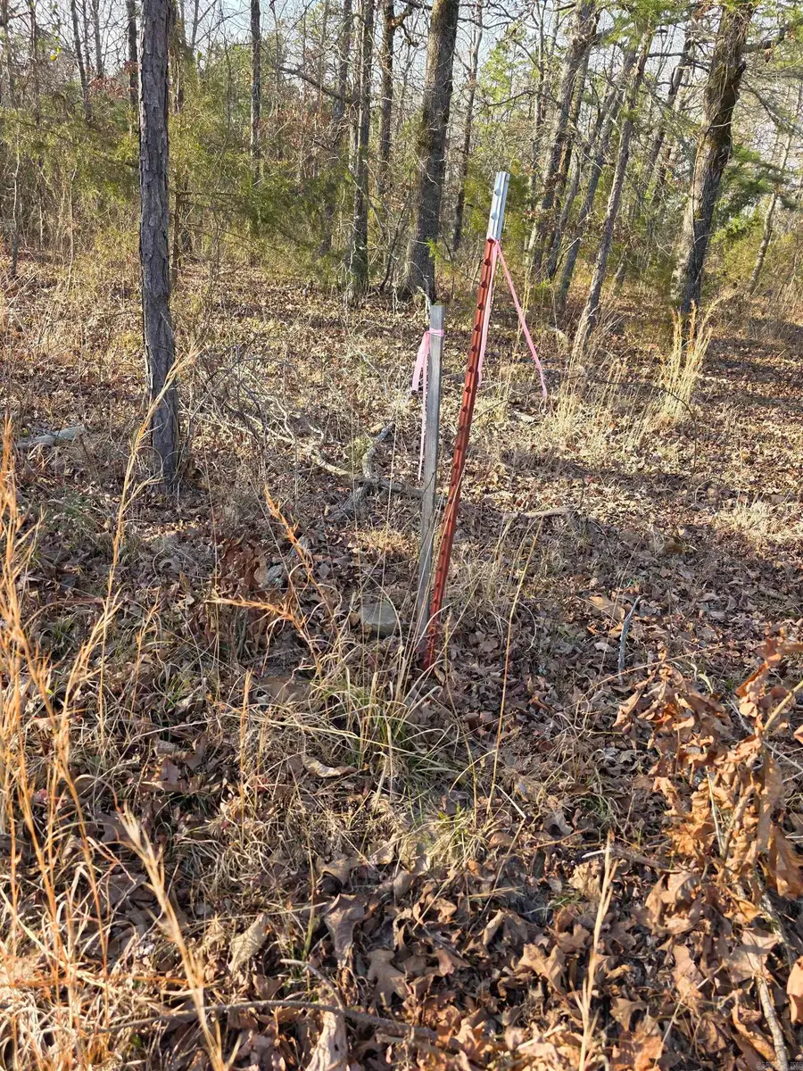 Unk Blissful Lane, Mena, AR 71953 - Image #2