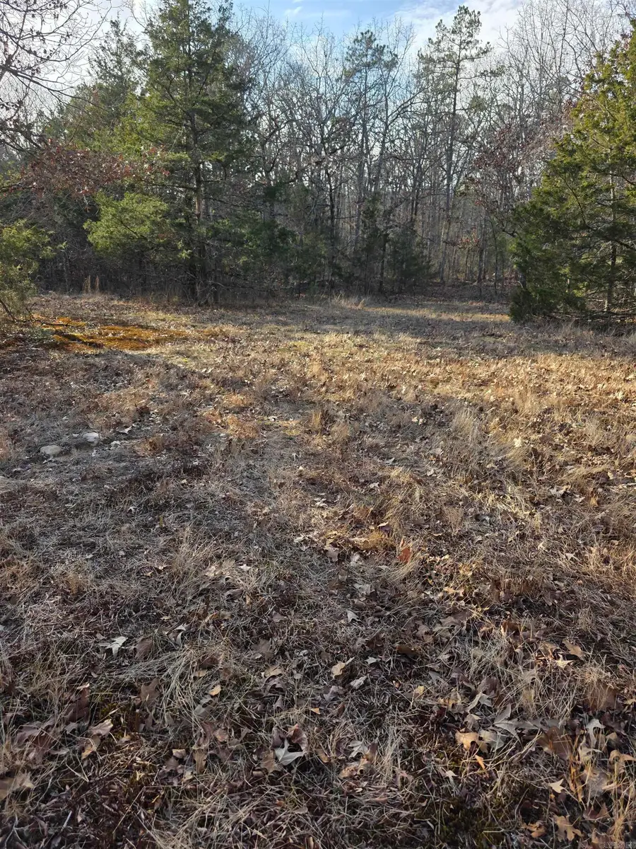 Unk Blissful Lane, Mena, AR 71953 - Image #3