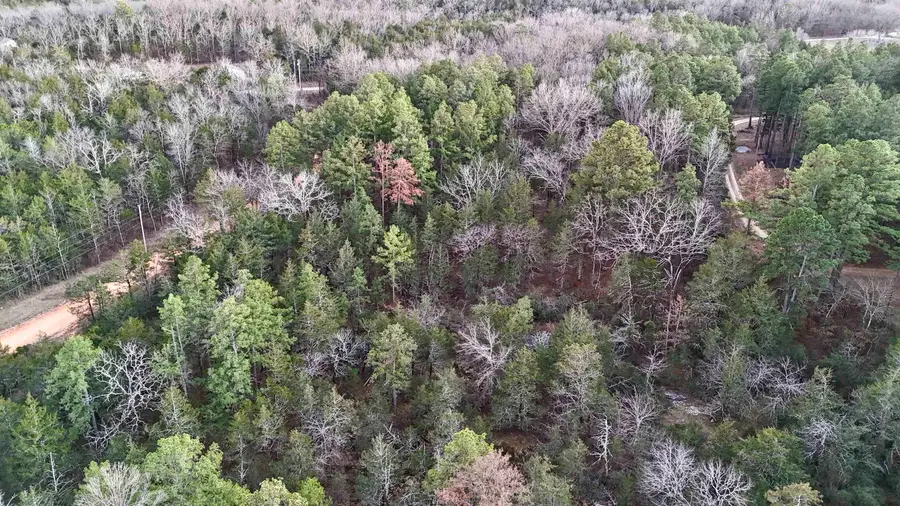 Ripplin Shoals Road, Melbourne, AR 72556 - Image #3