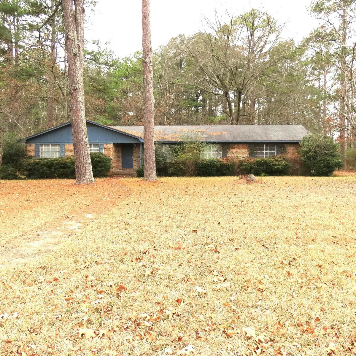 100 Sadler Drive, Rison, AR 71665 - Image #1