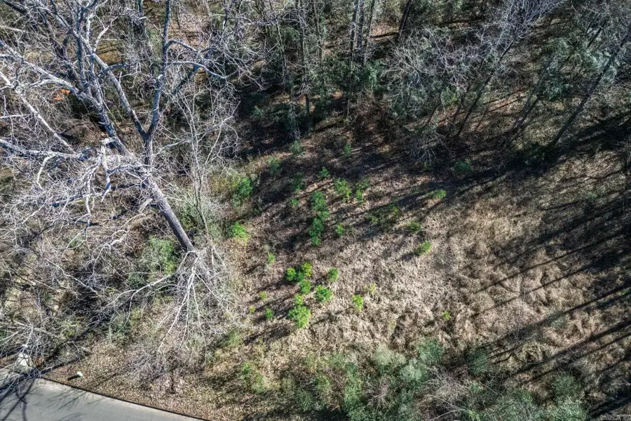 TBD North Park Drive, Arkadelphia, AR 71923 - Image #2
